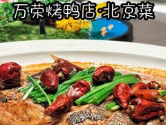 -万荣烤鸭店·北京菜(农光里店)