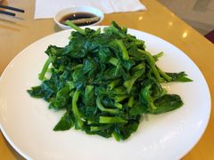 清炒豆苗-鼎泰丰(嘉年华•海信广场VILLAGE店)