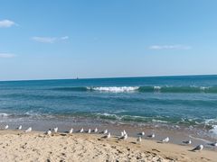 -海云台海滩