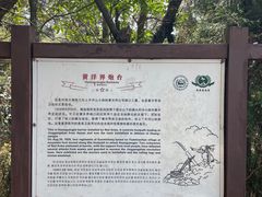 -井冈山风景名胜区-黄洋界