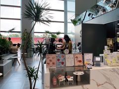 -Seesaw Coffee(深圳万象天地店)