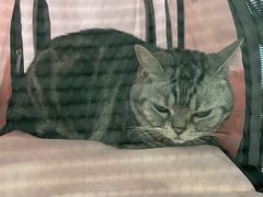 -北京博爱动物医院有限公司