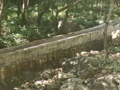-湖洞水自然风景区