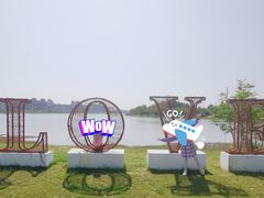 -九龙湖公园