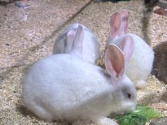 -正佳雨林生态植物园