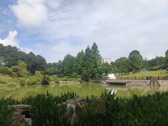 -铁山坪森林公园