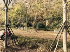-千岛湖石林