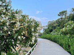 -上海吴淞炮台湾国家湿地公园