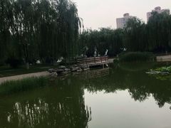 -丰台科技园生态主题公园