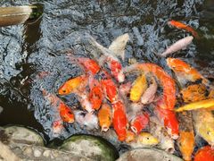 -上海大自然野生昆虫馆(东方明珠·爬宠昆虫探索中心)