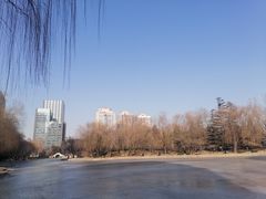 -团结湖公园