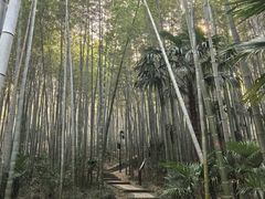 -南山风景名胜区