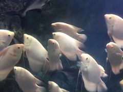 -南昌海洋公园