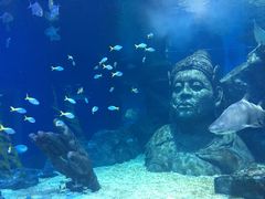 -暹罗海洋世界