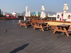 -新罗免税店(首尔总店)
