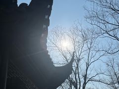 -拙政园