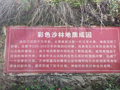 -彩色沙林风景区