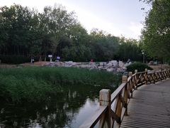 -云岗森林公园