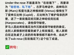 -菠萝国际教育专注Alevel·IGCSE·IB·AP·托福雅思培训辅导(静安校区)