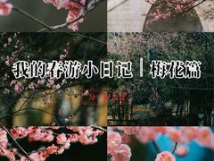 -月湖风景区