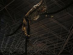 -世界恐龙谷景区