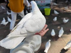 -国色天乡三期陆地乐园