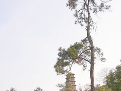 -九华山公园
