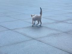 -中国版画博物馆