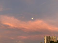 -玫瑰海岸文化旅游度假区