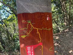 -梧桐山风景名胜区