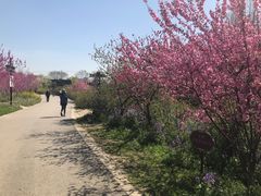 -苏州上方山国家森林公园