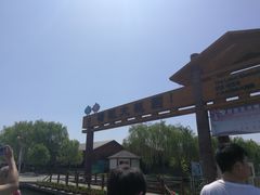 -白洋淀景区
