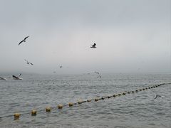 -青岛第一海水浴场