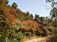 -敬亭山风景名胜区