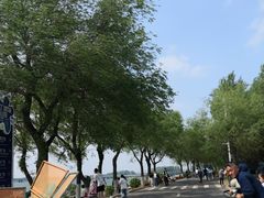 -丁香湖公园