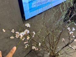 点击看大图 -宸山医美·变美艺术馆