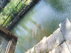 -卧龙堡客栈·中餐厅(古北水镇店)