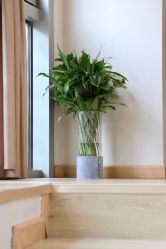 -酉嘉瑜伽YO+YOGA