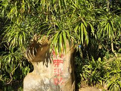 -中国科学院西双版纳热带植物园