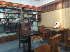 -柴源莊·柴小宠柴犬咖啡