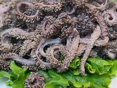 -协顺园回头馆(南顺城路店)