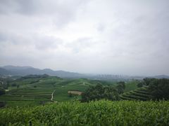 -午潮山国家森林公园