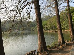 -深圳仙湖植物园