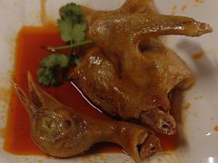 -百利鸽王(紫薇路店)