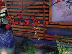 -花间别院(凤凰店)