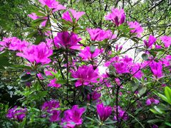 -杭州半山国家森林公园