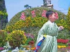 -荷兰花海