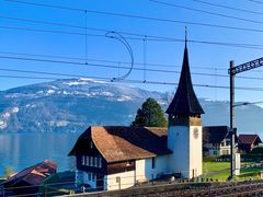 -圣马尔谷圣殿宗主教座堂