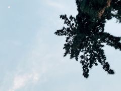-深圳湾公园(南山区)