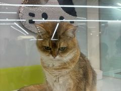 -金鹰(江宁店)